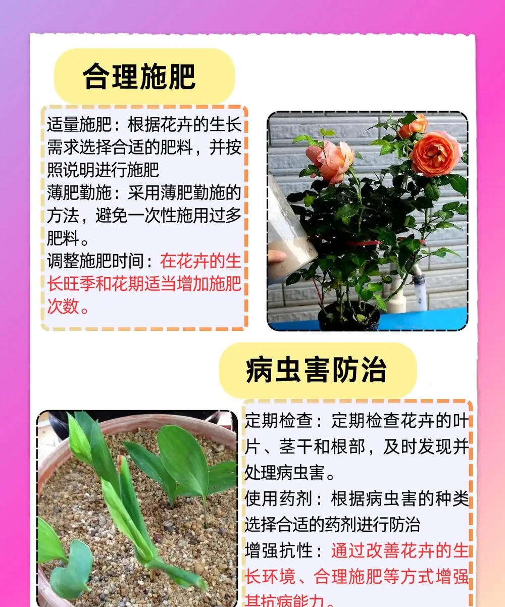 花葉子發黃乾枯怎麼治