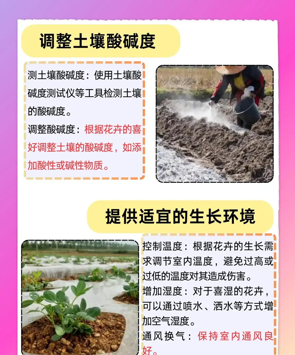 花葉子發黃乾枯怎麼治