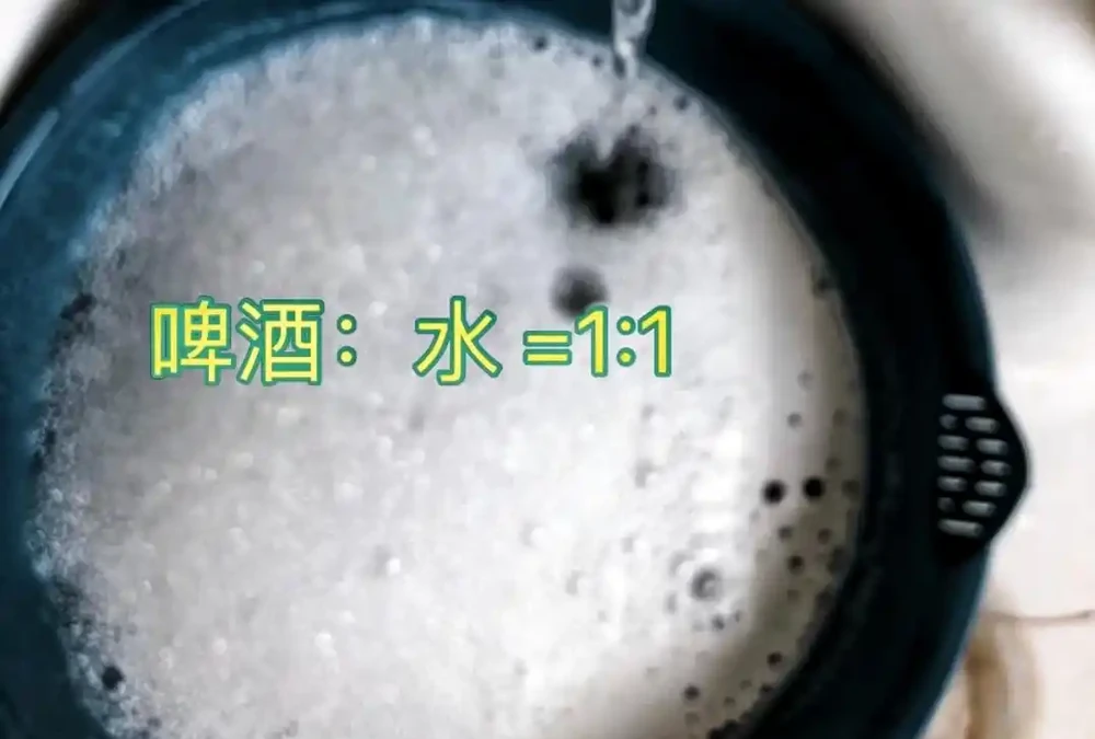 湖南一大叔家裡綠植每月「用啤酒洗澡」,網友:原來植物也愛酒
