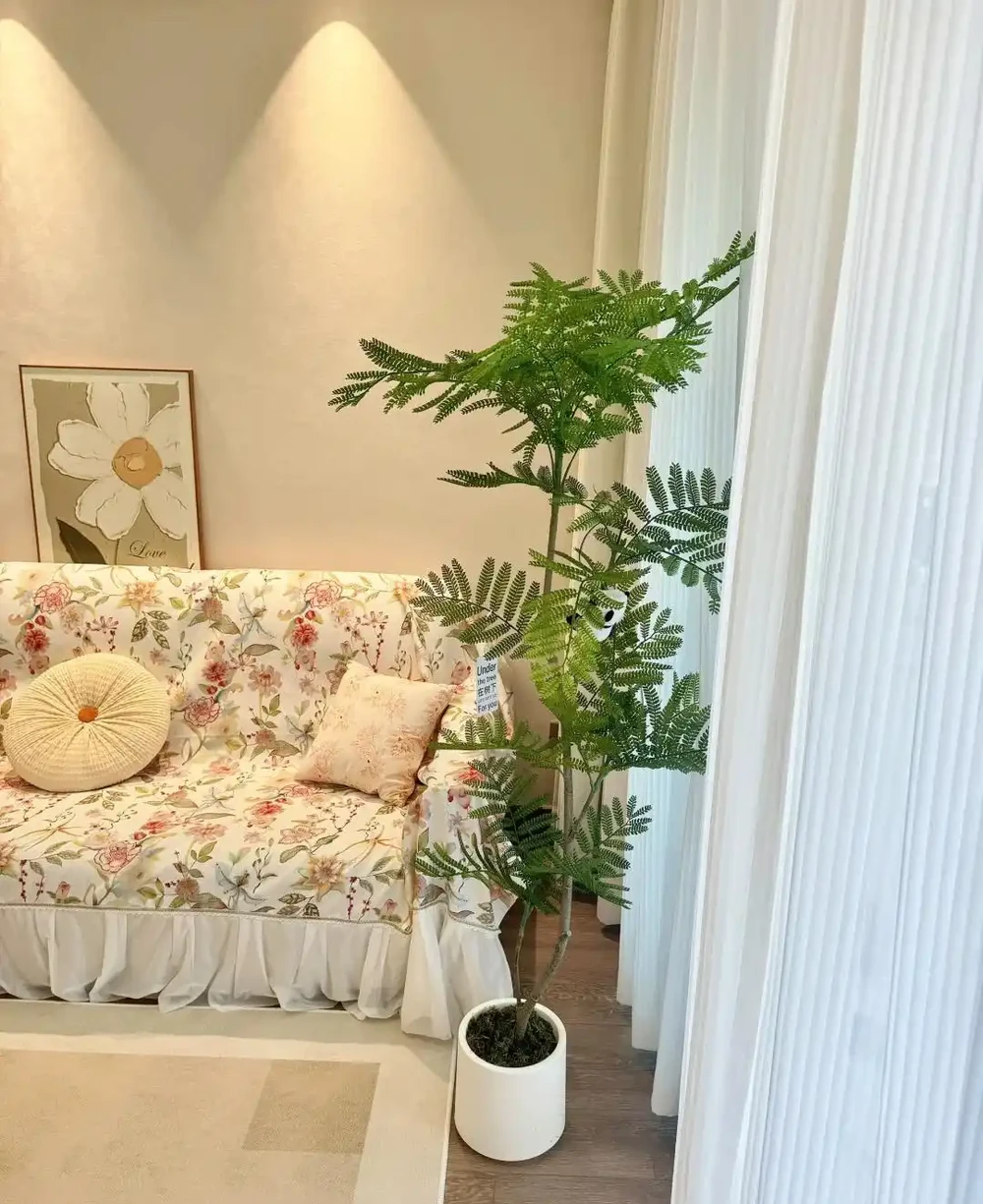 想要客廳顯高階,我建議你養這7種樹,「一樹成景」特治癒