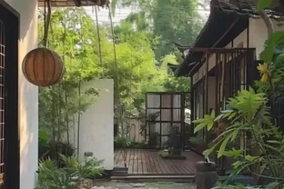 「院種六樹，十宅九富」，適合院子種植的6種樹，你家裡有嗎？