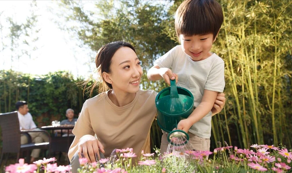 催花肥料哪種最好