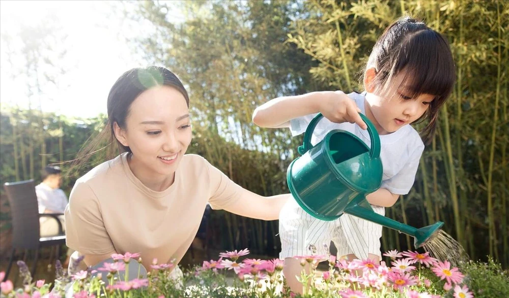 催花肥料哪種最好