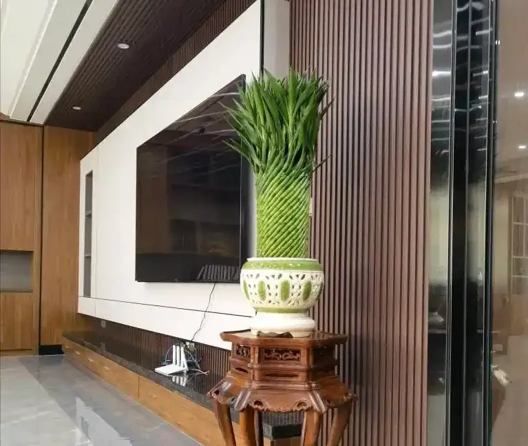 「屋內有三花，雙手把財抓」，室內養這3種花，美觀又大氣