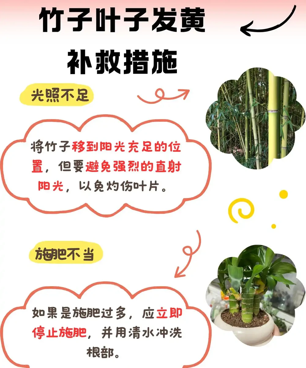 竹子葉子發黃的補救措施:讓你的竹子重煥生機!