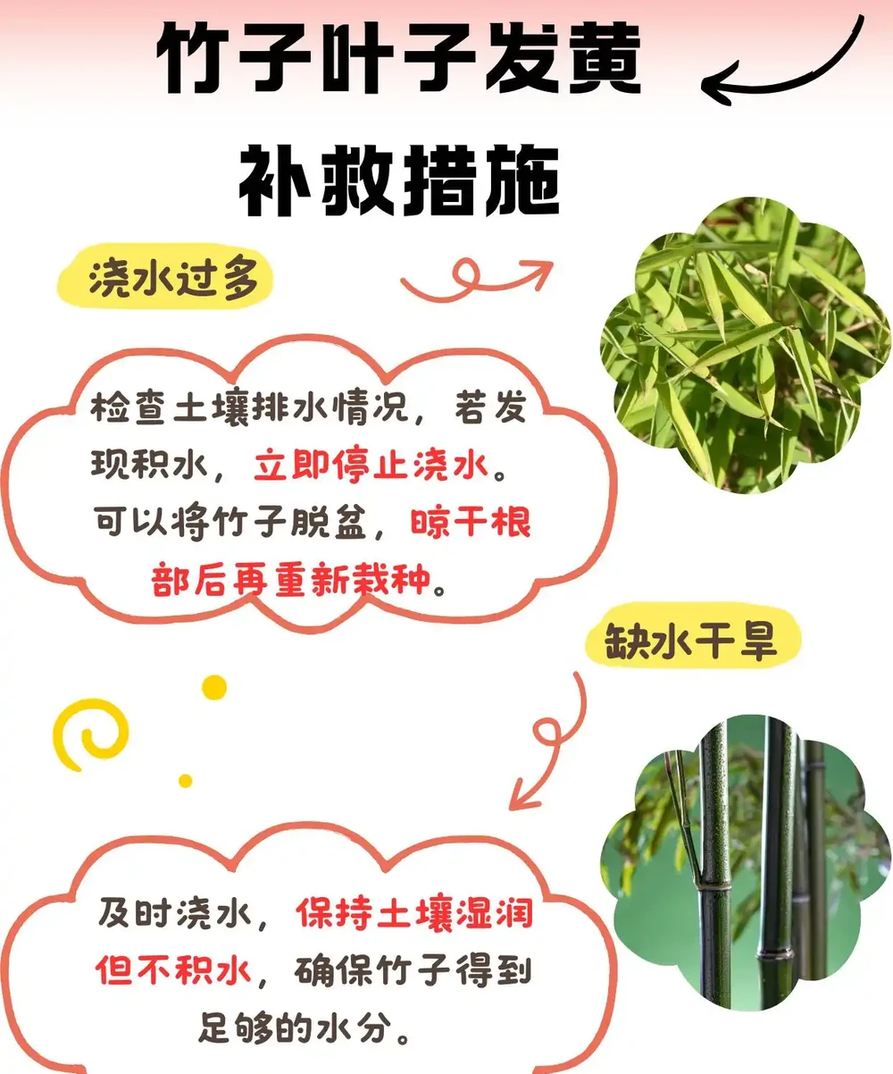 竹子葉子發黃的補救措施:讓你的竹子重煥生機!