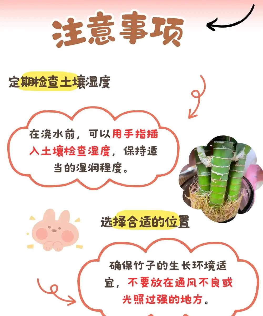 竹子葉子發黃的補救措施:讓你的竹子重煥生機!