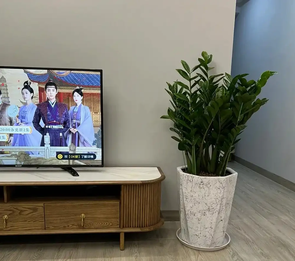 「庭園見樹,十宅九富」!家裡有院子,可以栽種這6種,大氣吉利