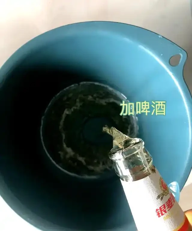 女子將1棵黃金葛養了10年,枝繁葉茂爬滿客廳,那叫一個治癒!
