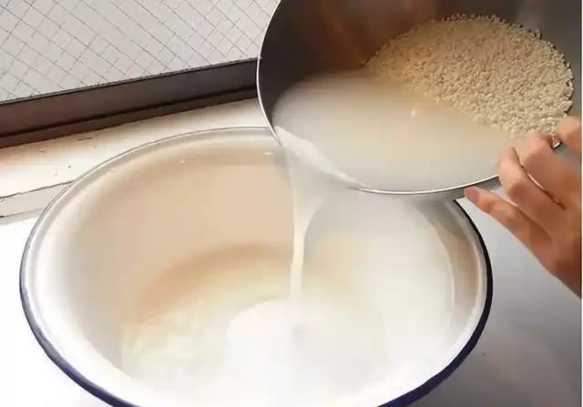 女子將1棵黃金葛養了10年,枝繁葉茂爬滿客廳,那叫一個治癒!