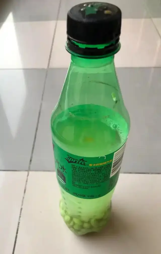 女子將1棵黃金葛養了10年,枝繁葉茂爬滿客廳,那叫一個治癒!