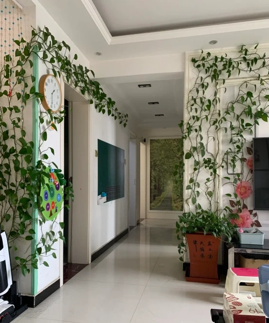 女子將1棵黃金葛養了10年,枝繁葉茂爬滿客廳,那叫一個治癒!