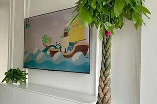 為何越來越多人棄養發財樹？養過的人說漏嘴：這4個缺點太明顯！