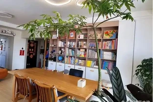客廳見樹，家業穩固！客廳適合養的6種樹，大氣美觀，提升幸福感