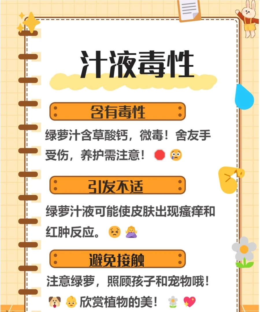 養黃金葛的十大壞處，快來了解一下吧