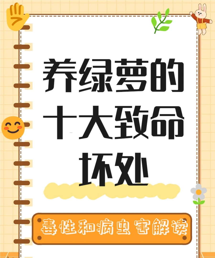 養黃金葛的十大壞處，快來了解一下吧