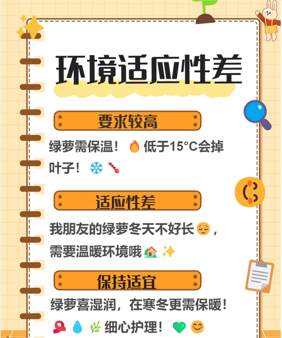 養黃金葛的十大壞處，快來了解一下吧
