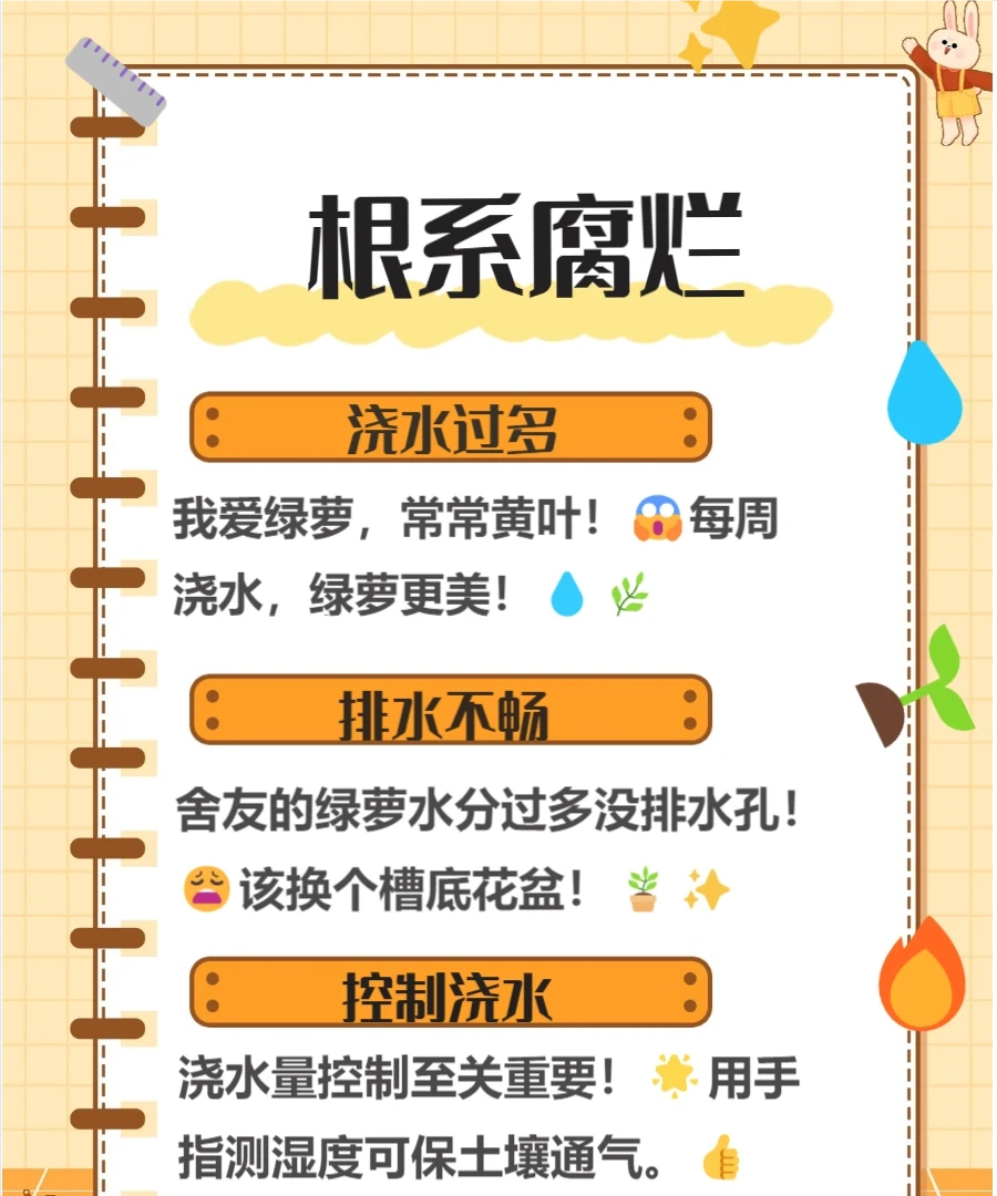 養黃金葛的十大壞處，快來了解一下吧