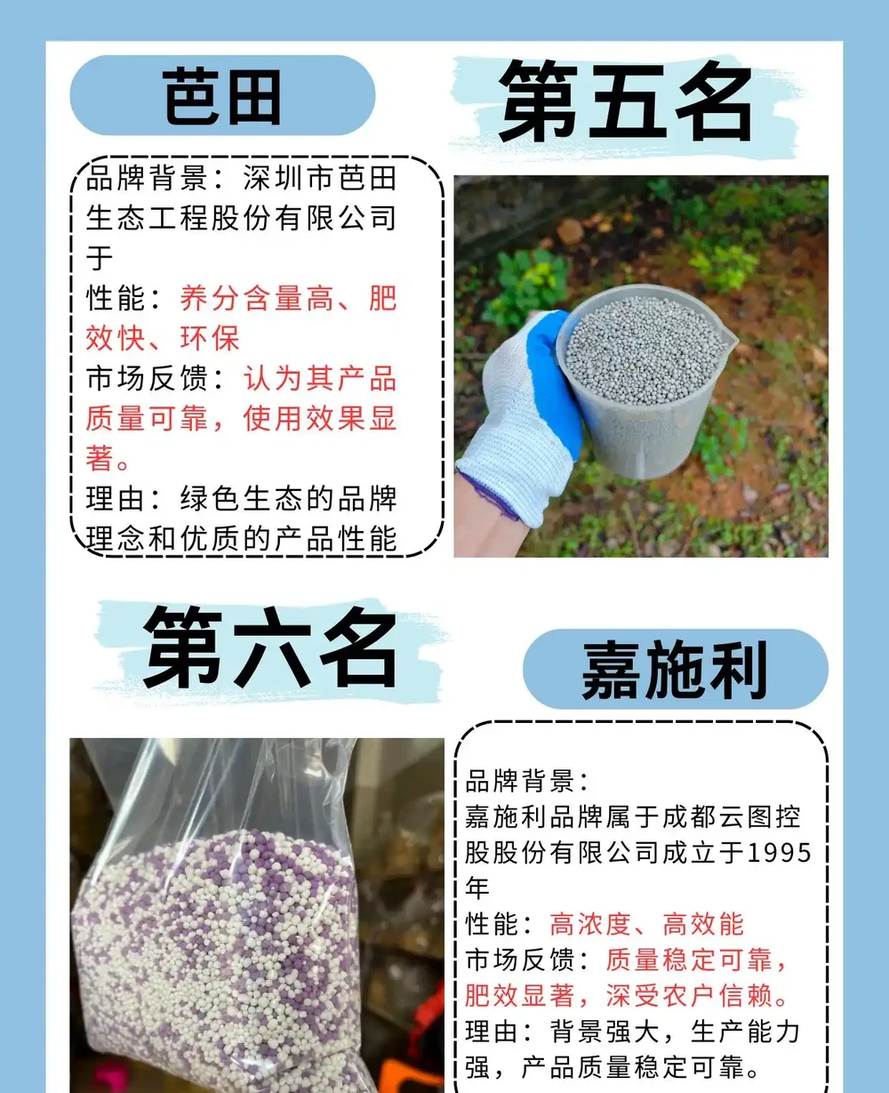 2024中國前十強複合肥料