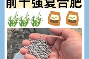 2024中國前十強複合肥料