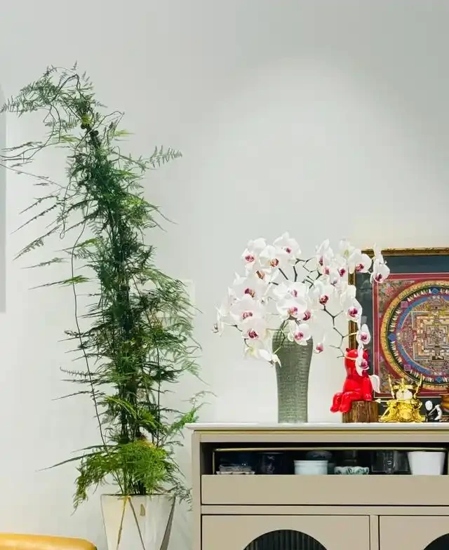 11月後，抓緊給3種花「剃光頭」，剃的越狠，來年長勢越旺！