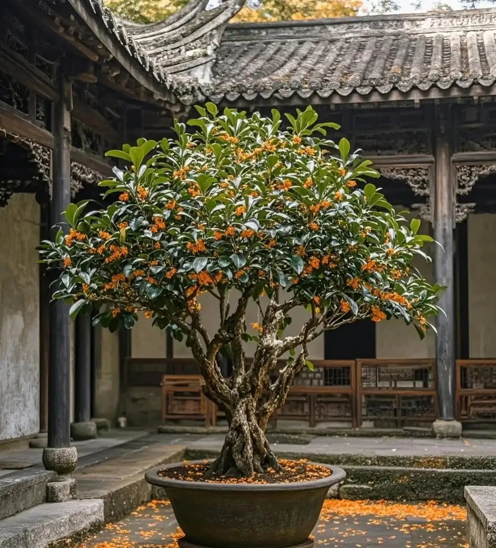 院裡別再亂養花了,這8種耐寒好養還旺人,健康更吉利!