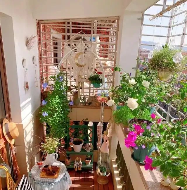 10種花「不怕曬」，放在南陽臺，變身「開花小機器」，超美