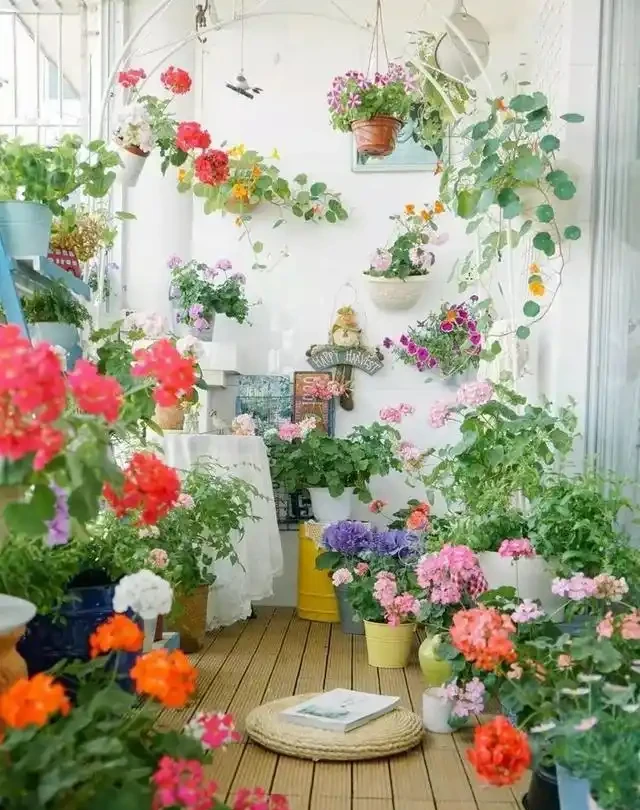 10種花「不怕曬」，放在南陽臺，變身「開花小機器」，超美