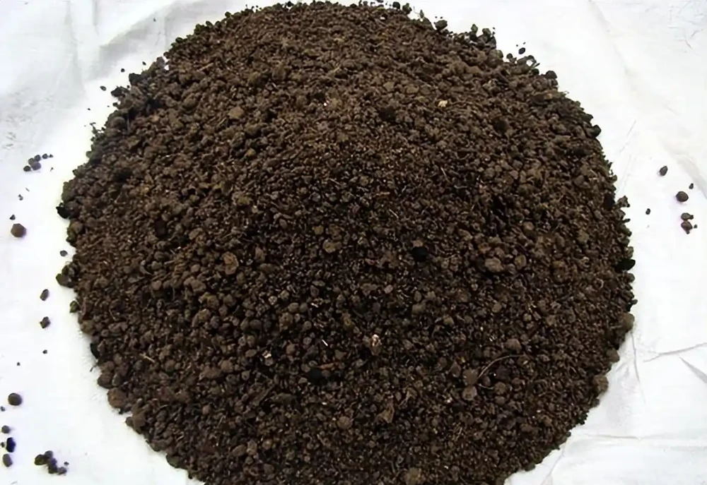 有機肥的正確使用方法