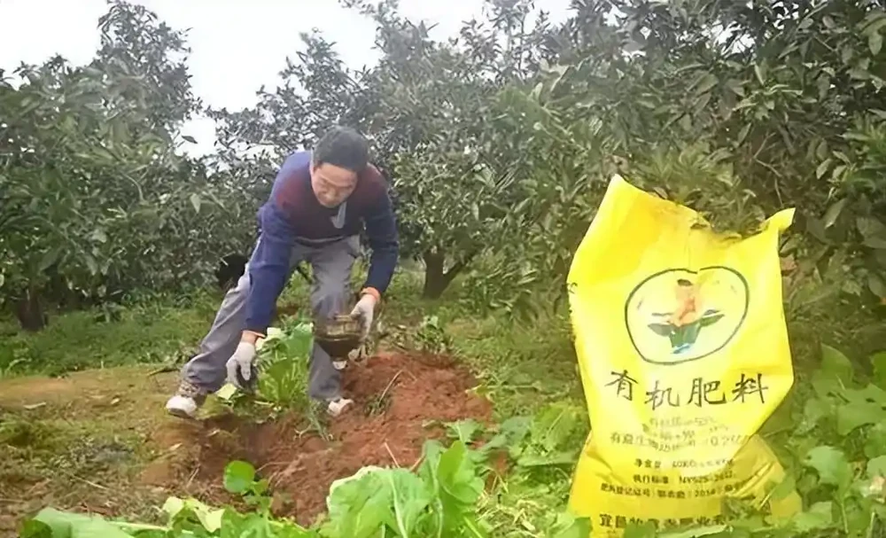 有機肥的正確使用方法