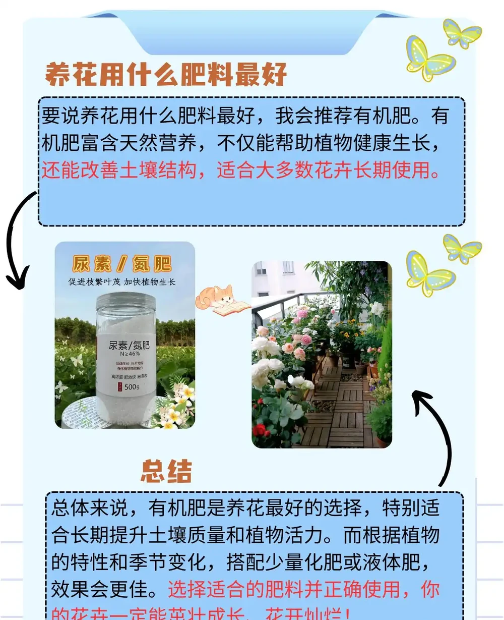 養花用什麼肥料最好
