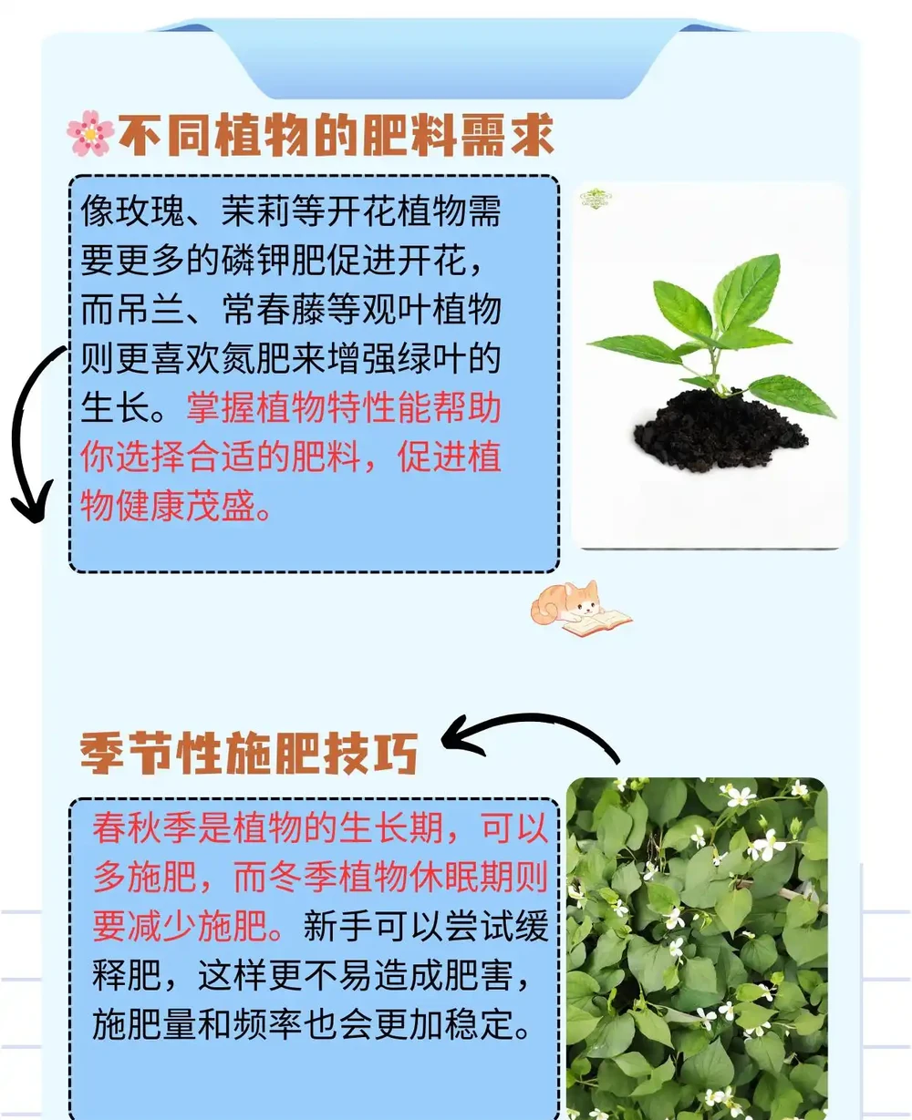 養花用什麼肥料最好