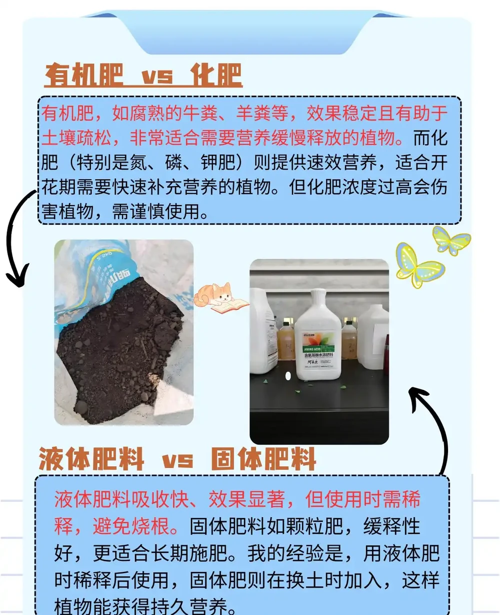 養花用什麼肥料最好