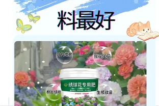 養花用什麼肥料最好