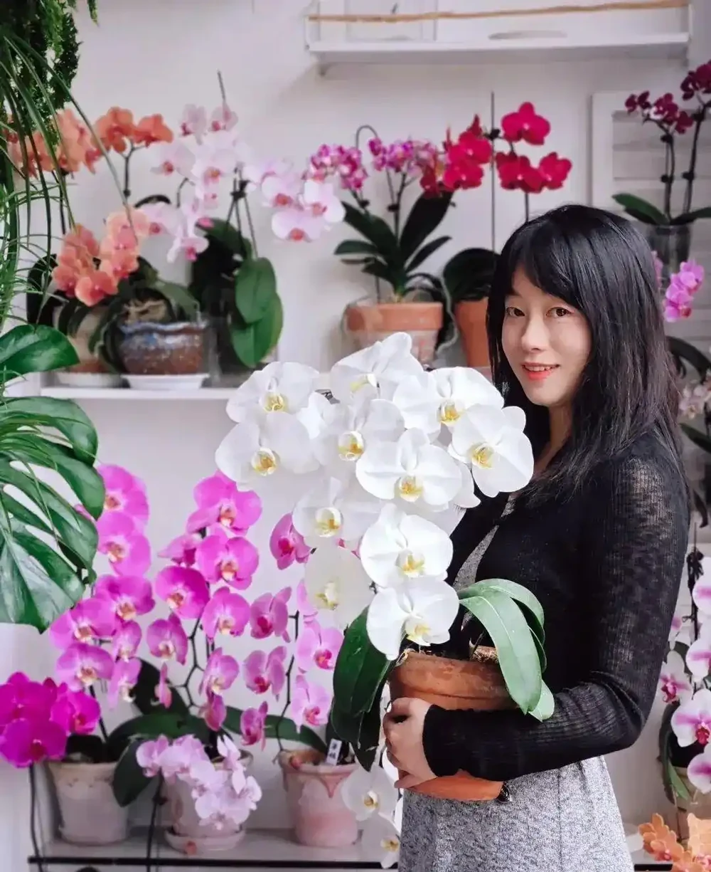 福建一姑娘，沒花一分錢，打造出「蝴蝶蘭花園」，網友：開眼了