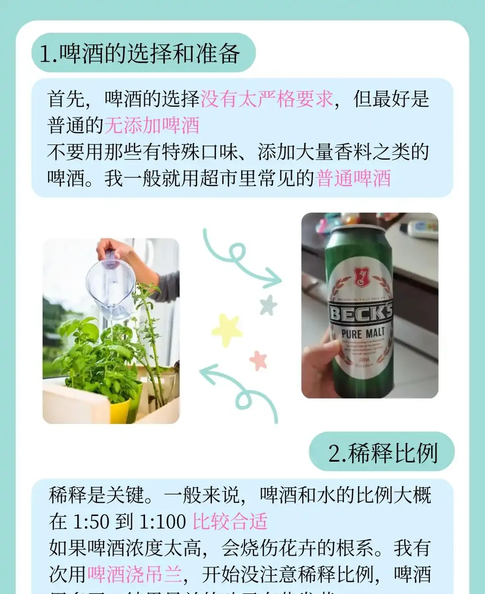 啤酒澆花的正確方法