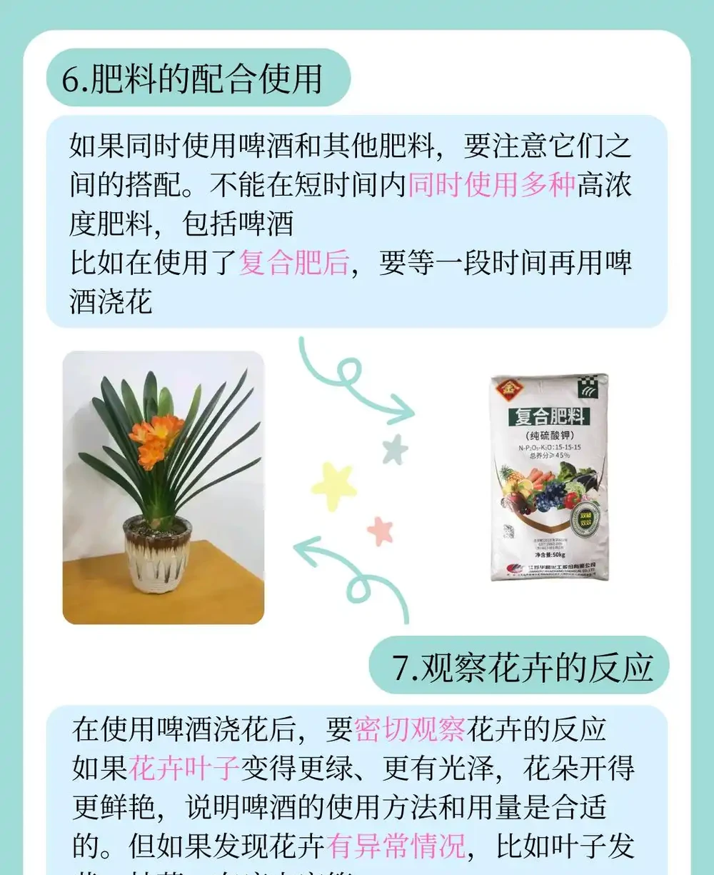 啤酒澆花的正確方法