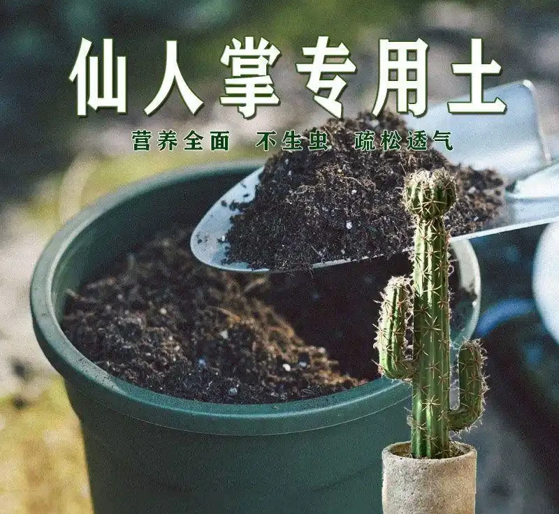 仙人掌用什麼土栽培最好