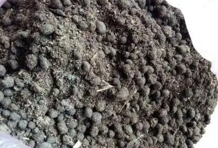 羊糞發酵最簡單的方法是什麼?