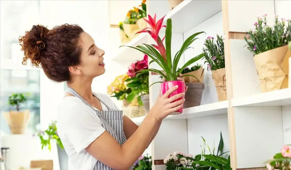 臥室裡適合放什麼植物和花