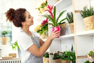 臥室裡適合放什麼植物和花