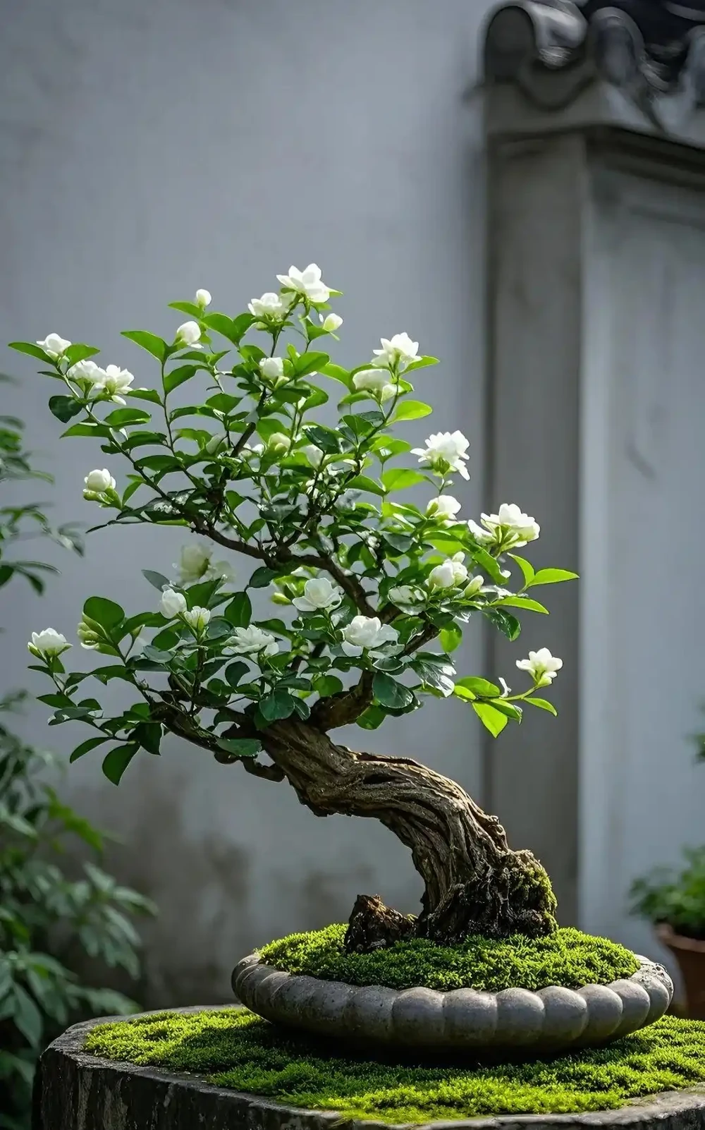 家裡地方再小，「這3種花」也要養一盆，好處多多