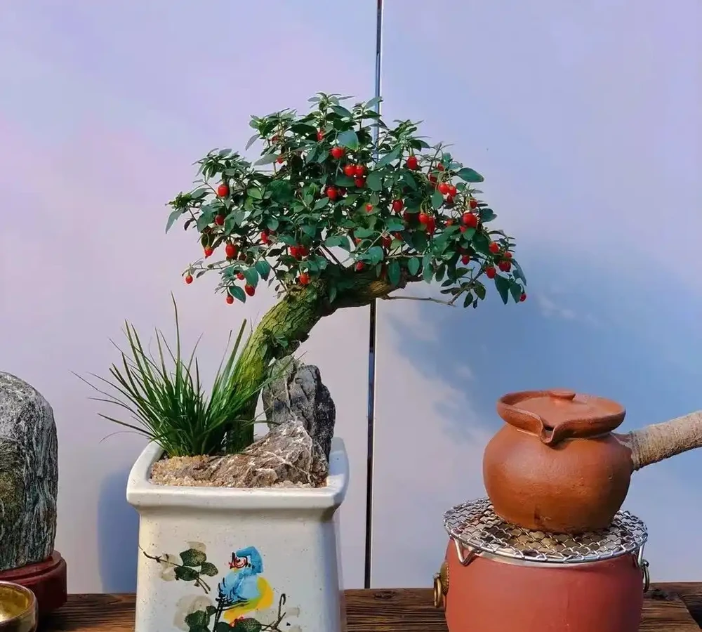 家裡地方再小，「這3種花」也要養一盆，好處多多