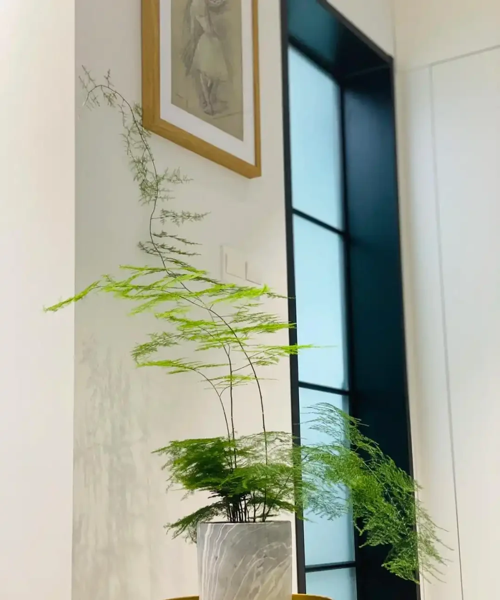 家裡地方再小，「這3種花」也要養一盆，好處多多
