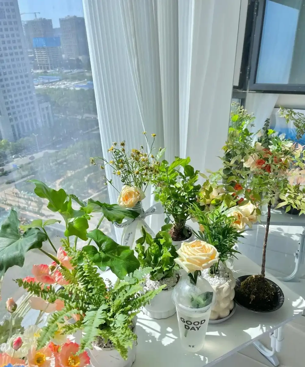 6種「利於睡眠的花」，隨意養一盆，一覺到天亮