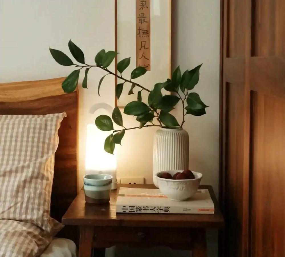 6種「利於睡眠的花」，隨意養一盆，一覺到天亮