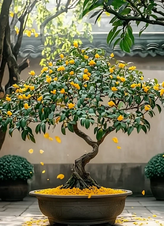 5種「旺財花」,能活一百年,越養越富貴,後代受益,吉利又好看