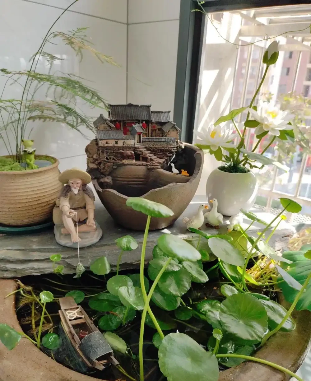 張太太把銅錢草養在大水缸，網友直呼：有創意，棵棵都治癒