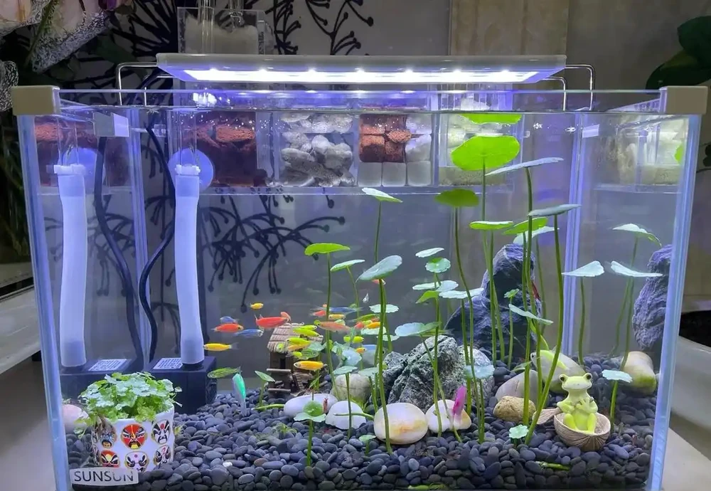 張太太把銅錢草養在大水缸，網友直呼：有創意，棵棵都治癒