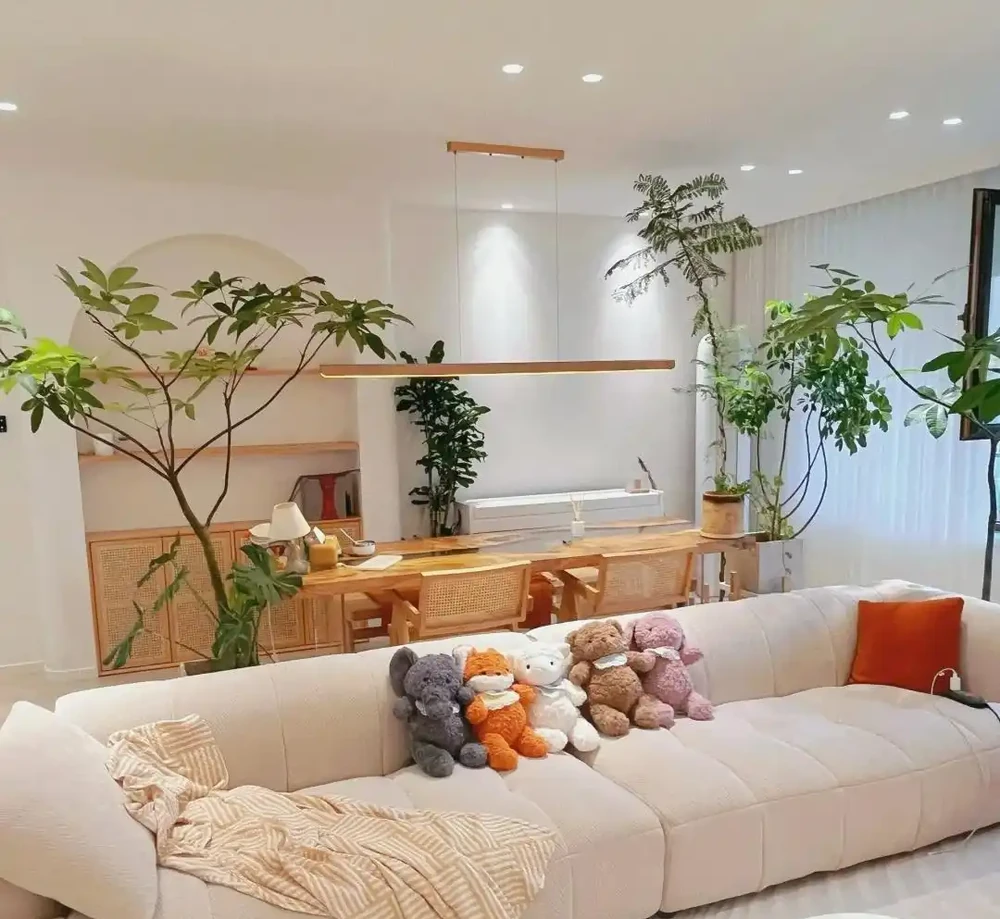 客廳見樹,十有九富!這10種樹「凹造型」絕了,一樹成景,太治癒